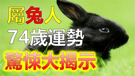 今年兔年|屬兔今年幾歲｜屬兔民國年次、兔年西元年